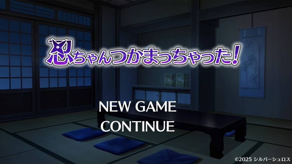 【その他】忍ちゃんつかまっちゃった！ 感想レビュー